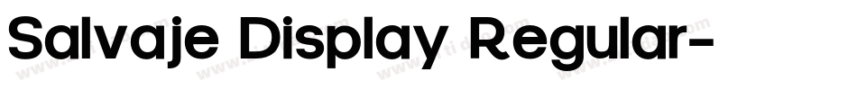 Salvaje Display Regular字体转换